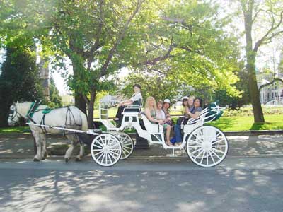 Horse and Carriage in Victoria